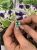 Vintage 3.67ct Emerald and Diamond Cluster 14kt Ring