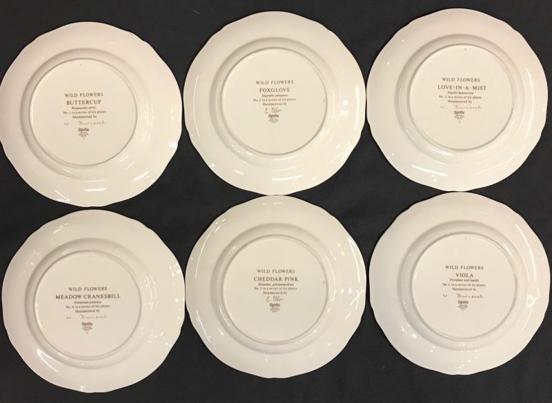 Vintage Spode “Wild Flowers” hand painted luncheon plates