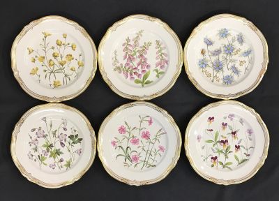 Vintage Spode “Wild Flowers” Hand Painted Luncheon Plates
