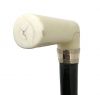 Antique Ivory Handled Walking Stick with 1886 Presentation