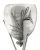 Belgian Figural Silver Rowing Trophy Presented in 1888
