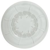 Lalique France Rolleboise Plate