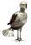 Mid-Century Modern Sterling Silver Parrot, Taxco Mexico