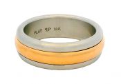 Modern Platinum and 18kt Gold Band