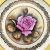 Rare Yellow Ground Paragon Cabbage Rose Dessert Set, Signed A.J. Plant