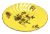 Royal Crown Derby Yellow Ground Biscuit Dish Dated 1885