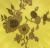 Royal Crown Derby Yellow Ground Biscuit Dish Dated 1885