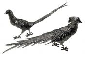 Silver Table Pheasants 