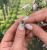Vintage Emerald and Diamond Ring