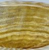 Murano Fine Gold Dust Rectangular Bowl