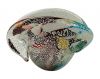 Vintage Murano Art Glass Multi-Coloured Tutti Frutti Shell Form Bowl