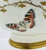 Porcellane D’Arte Ermete Agostinelli Butterfly Pedestal Bowl