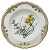 Spode Stafford Flowers Pattern Y8519