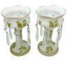 Vintage Cased Milk Glass Hand Painted Lustres