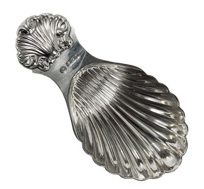 Francis Howard Ltd. Shell Form Tea Caddy Spoon
