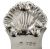 Francis Howard Ltd. Shell Form Tea Caddy Spoon