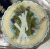 Salins-Les-Bains Majolica Asparagus Plates 