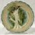 Salins-Les-Bains Majolica Asparagus Plates 