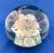Hand Blown Glass Floral Paperweight
