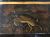 Large Black Japanned Lacquerware Tray-Table/Coffee Table