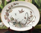 Victorian Era Aesthetic Movement Earthenware Transfer Ware Platter