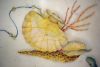 Italian Coffee Table Signed Martelli 