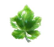 Birks Nephrite Jade Maple Leaf Brooch