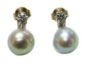 Grey Pearl Earrings