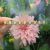 Vintage 1.99ct Opal and Diamond 18kt Bar Brooch