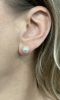 Pearl Studs