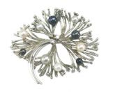 Spray Brooch