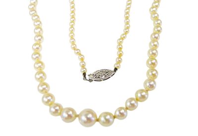 Graduated Pearl Necklace