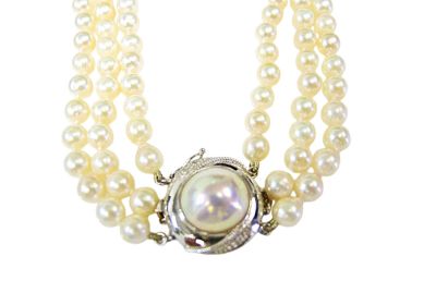 Freshwater Pearls
