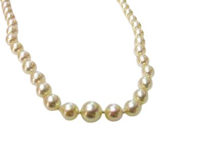 Graduated Pearl Necklace