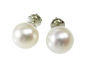 South Sea Pearl Earrings