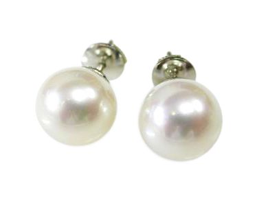 South Sea Pearl Earrings