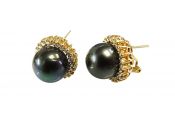 Tahitian South Sea Pearl Earrings