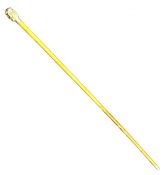 Victorian Six-Faced Silver Walking Stick