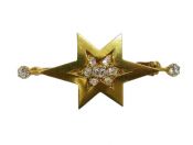 Victorian Star Brooch