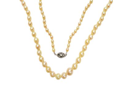Vintage Graduated Pearl Necklace