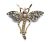 Antique Pearl Garnet and Diamond 18kt. Dragonfly Brooch