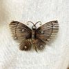 Butterfly Brooch