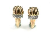 Shell Motif Earrings