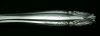 Sterling Silver Flatware - Stradivari By Wallace