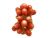 Coral and Ruby Ring