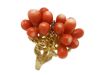 Coral and Ruby Ring