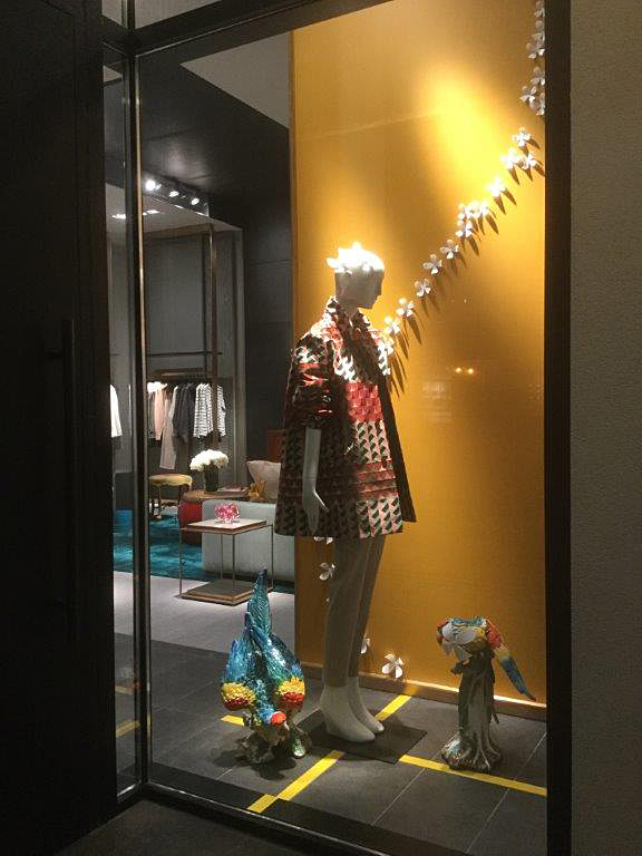 Fabulous Parrots Visiting Milli On 231 Avenue Road 1